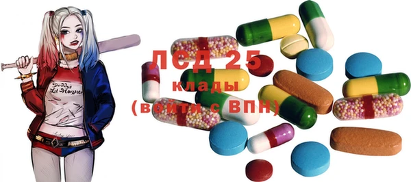 дживик Вязники