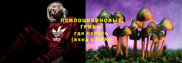 дживик Вязники