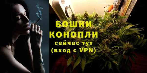 дживик Вязники
