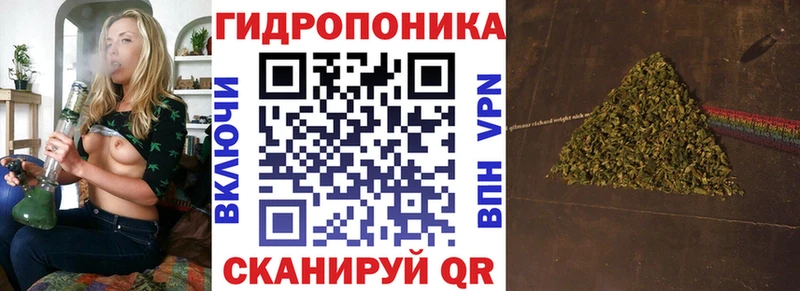 Марихуана планчик  как найти наркотики  Карабаново 